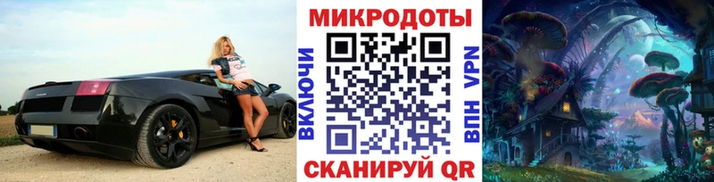 где можно купить наркотик  Мурманск  Галлюциногенные грибы Cubensis 