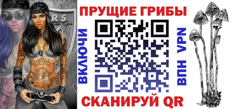 Псилоцибиновые грибы прущие грибы Мурманск